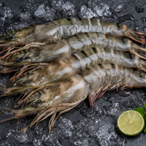 Tiger Prawns