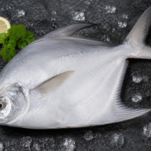 Pomfret
