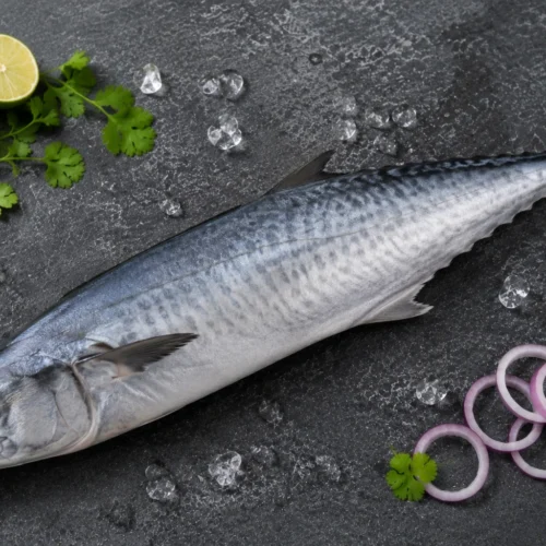 Seer Fish (Surmai)