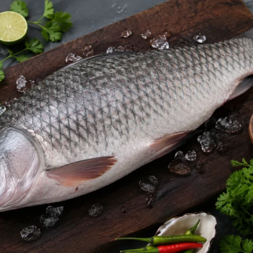 Rohu Fish